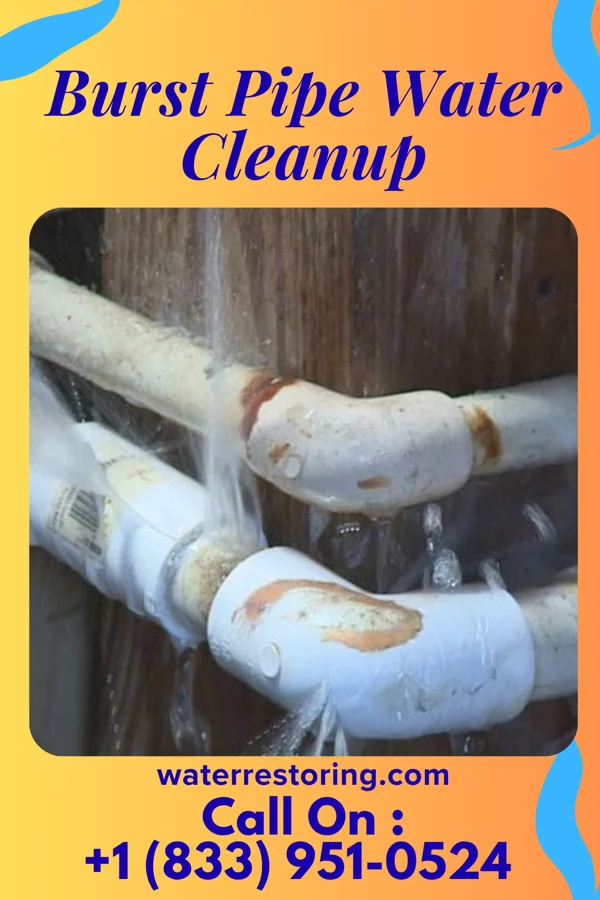 Burst Pipe Water Cleanup in Cold Brook, NY