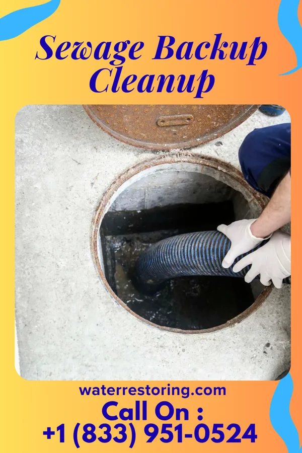 Sewage Backup Cleanup in Cold Brook, NY