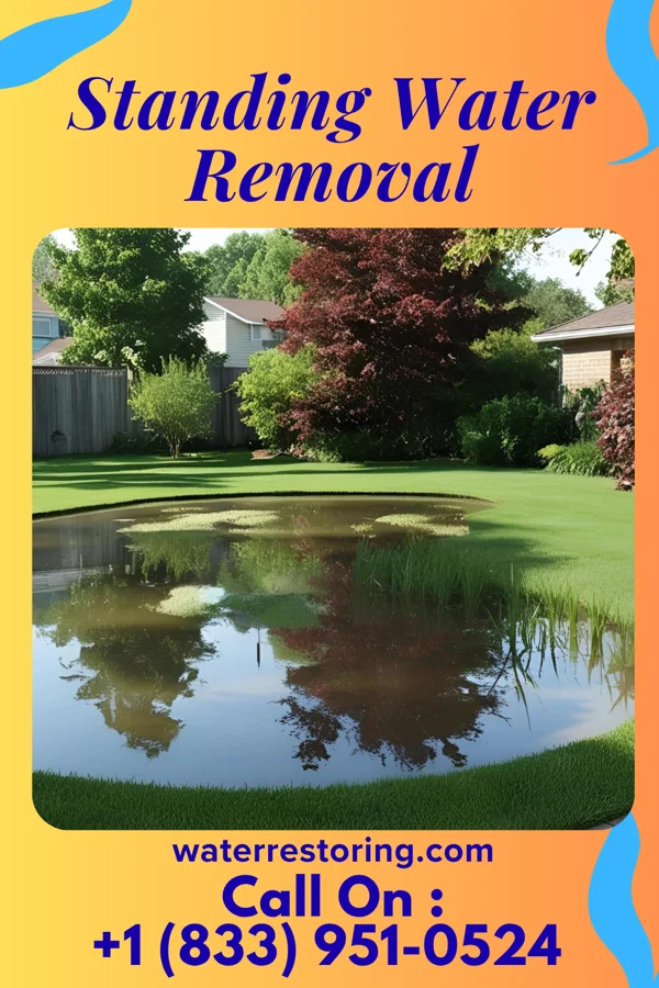 Standing Water Removal in Cold Brook, NY